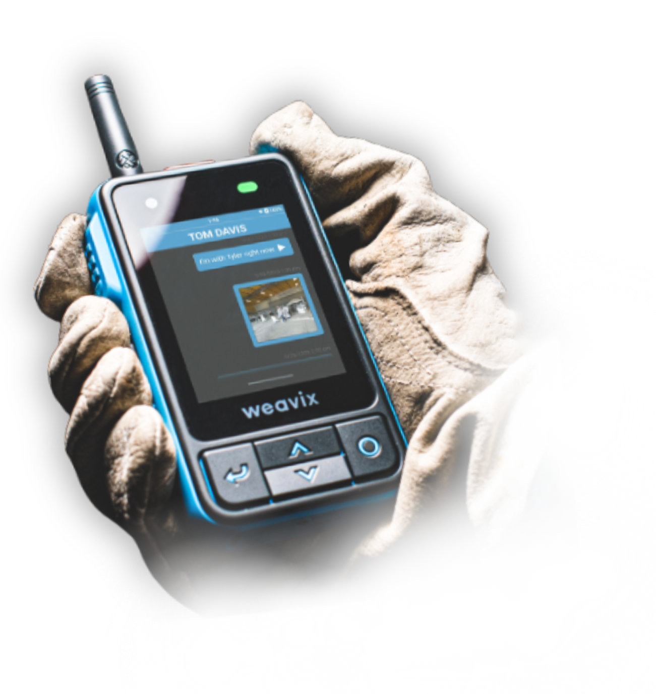 Walt Email Image-1-1 Walt Email Image-1-1