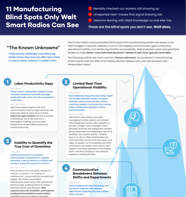 BlindSpots Infographic